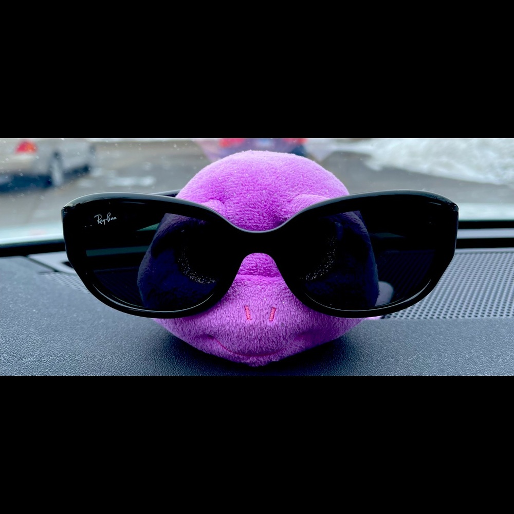 Meet your Posher, Zahnia